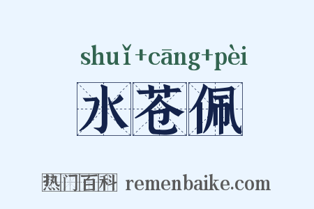 水苍佩是什么意思的图片